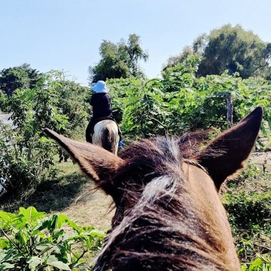 horse riding manialtepec
