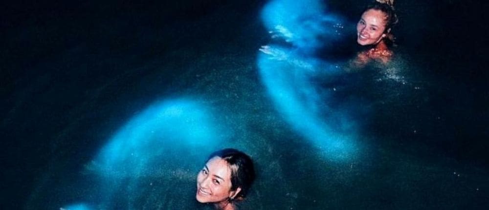 swimming in the bioluminescence