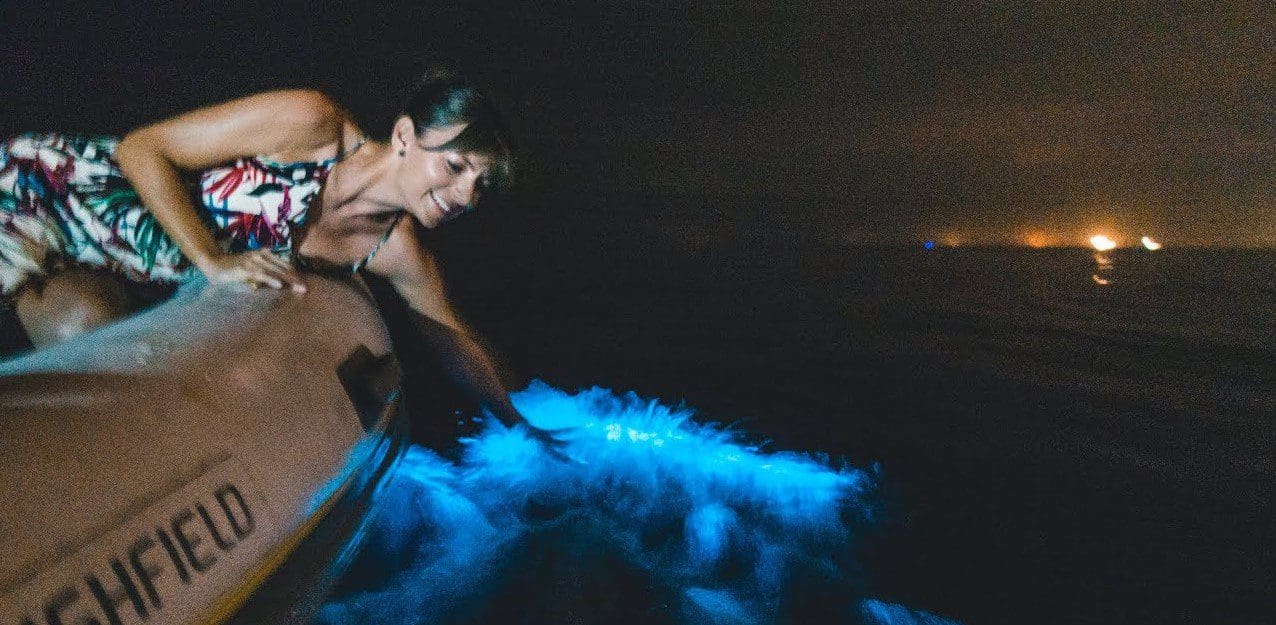 plancton bioluminescent a Puerto Escondido