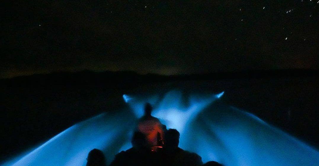 Bioluminescence depuis bateau