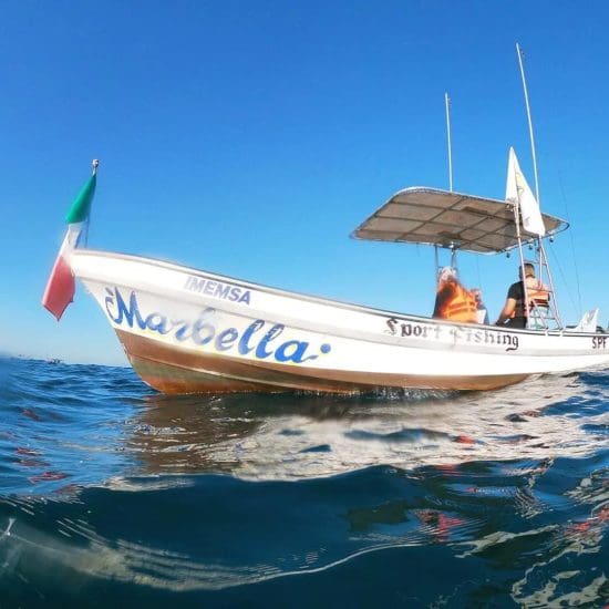 boat view from water