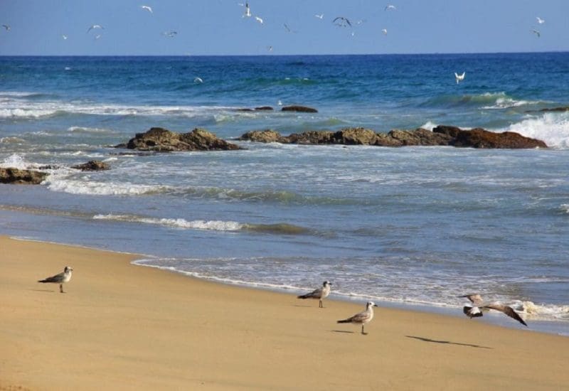 Agua blanca Puerto Escondido