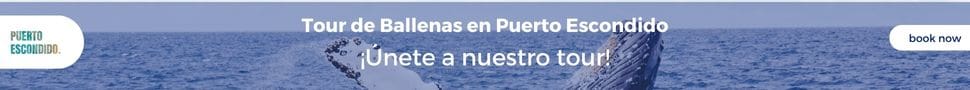 banner tour de ballenas